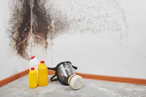 Best Commercial Mold Remediation in Village Of Waukesha, WI