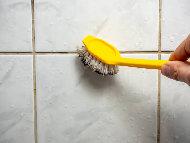Professional Mold Remediation in Village Of Waukesha, WI