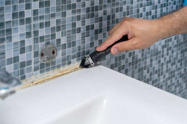 Best Basement Mold Remediation in Village Of Waukesha, WI