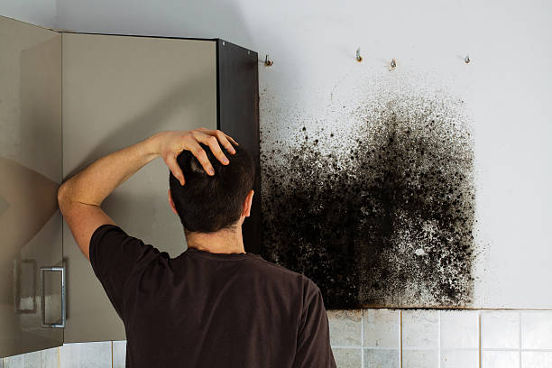 Best Crawl Space Mold Remediation in Village Of Waukesha, WI